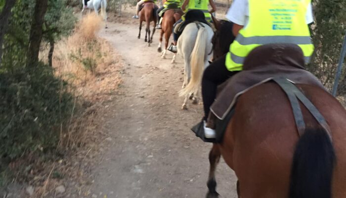 rutas a caballo Día de Andalucía en un hotel rural